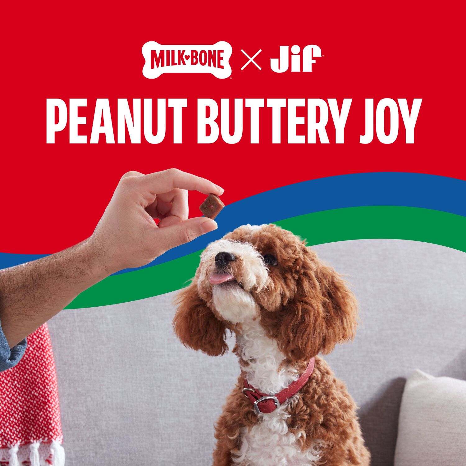 Milk-Bone Peanut Buttery Bites With Jif Peanut Butter & Real Bacon Soft & Chewy Dog Treats, 4.5-Oz
