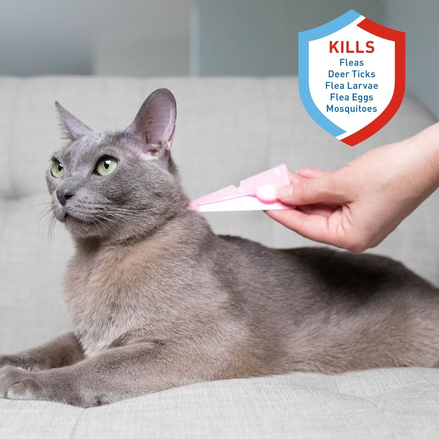 Adams Plus Flea & Tick Spot On For Cats - 5 Lbs And Over 3 Months