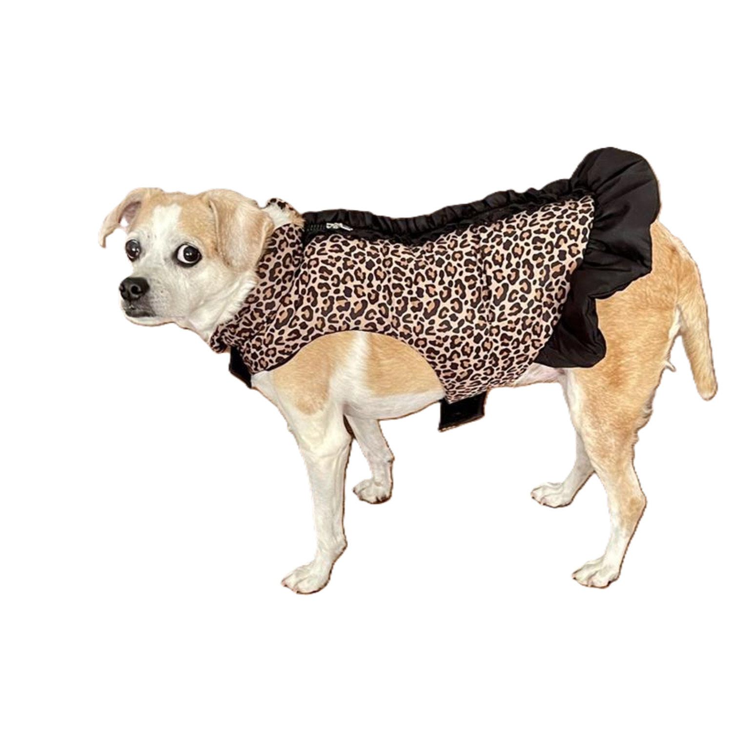Fabdog Leopard Puffer Dress Dog Coat, Medium