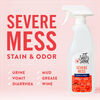 Severe Mess Stain & Odor thumbnail number 3