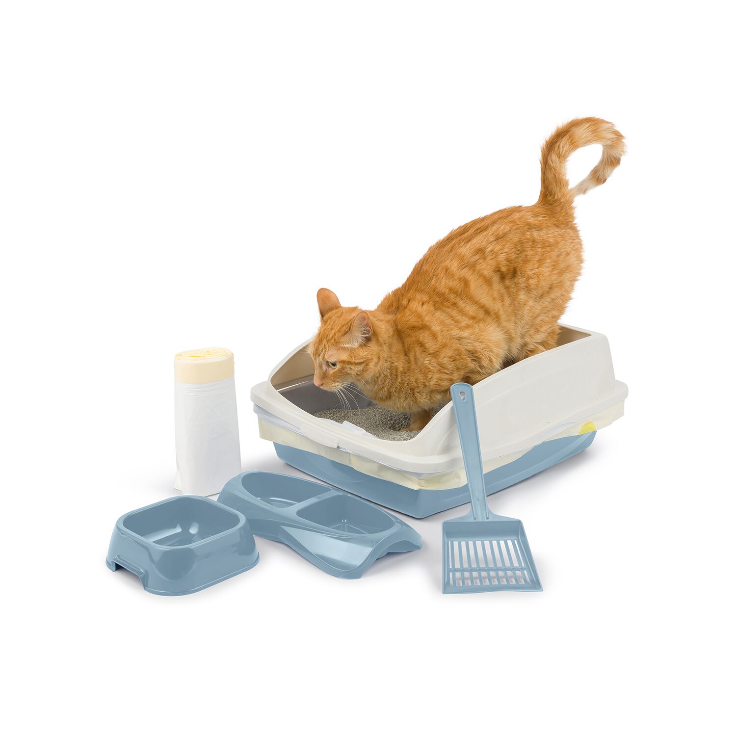Van Ness Framed Cat Pan Starter Kit, Winter Sky Blue