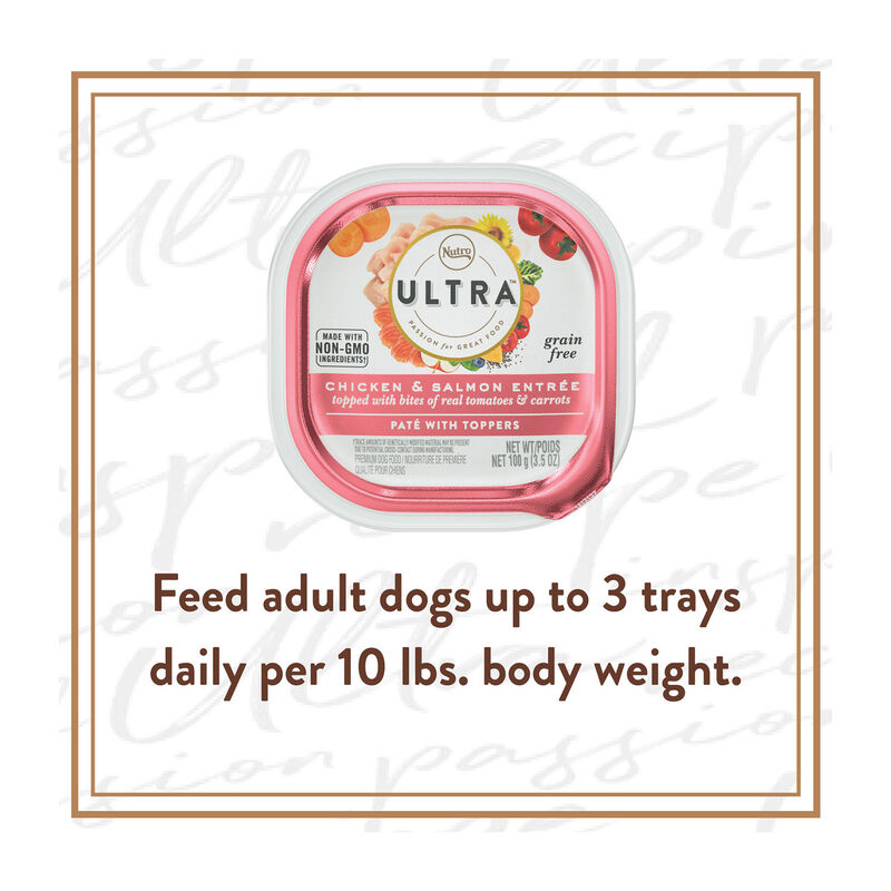 Ultra Chicken & Salmon Pate Dog Food image number 3
