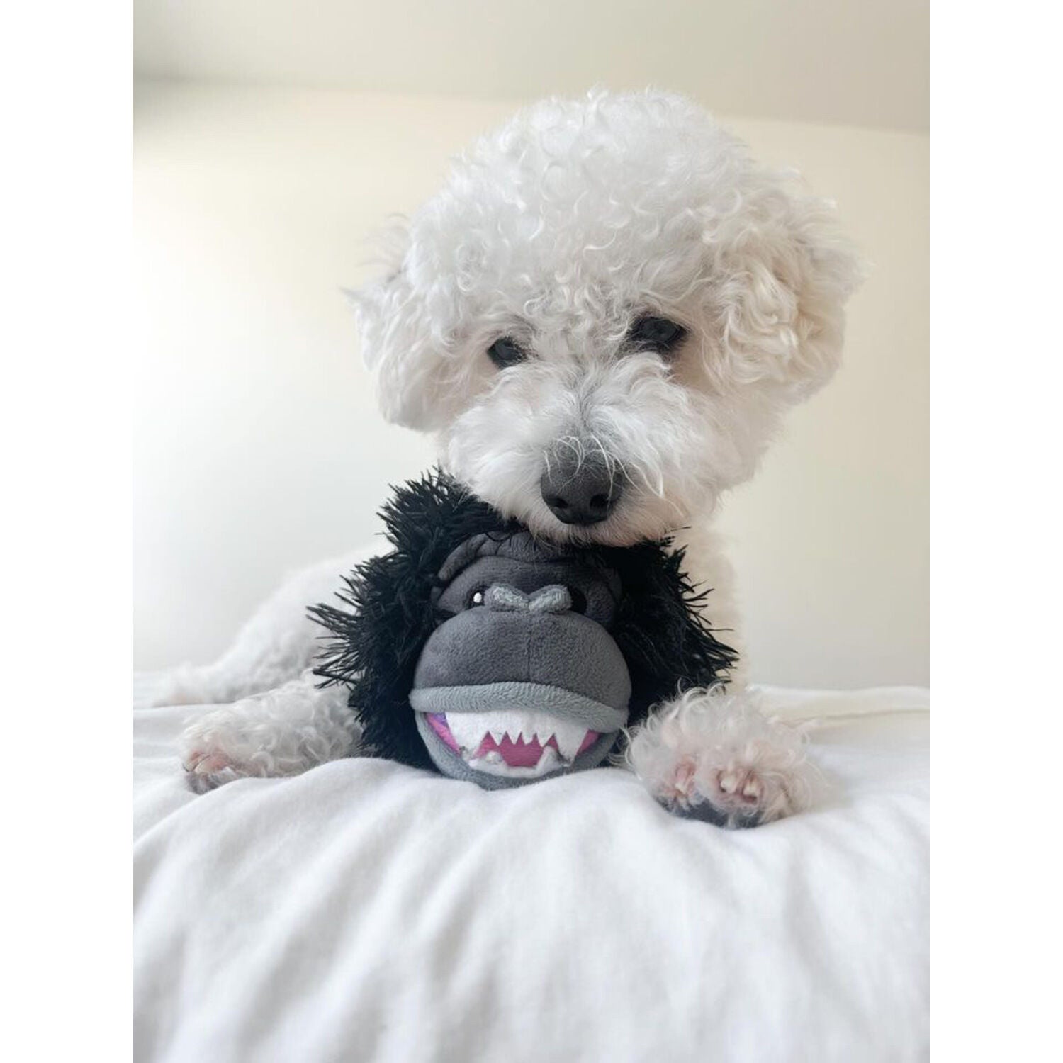 Tall Tails Gorilla 2-In-1 Fetch Ball Dog Toy