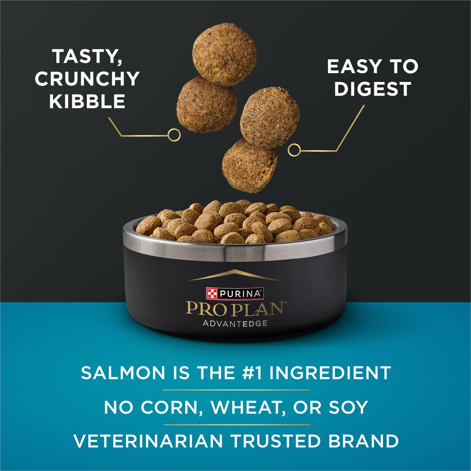 Purina Pro Plan Advantedge Digestive Support Plus Large Breed Salmon And Oat Meal Formula Adult Dry Dog Food - 22-Lb. Bag