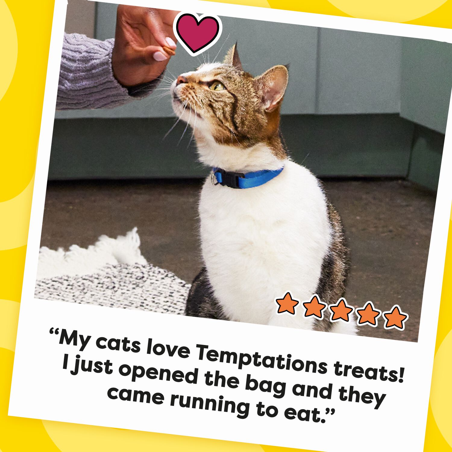 Temptations Indoor Care Crunchy & Soft Chicken Flavor Cat Treats, 2.1-Oz