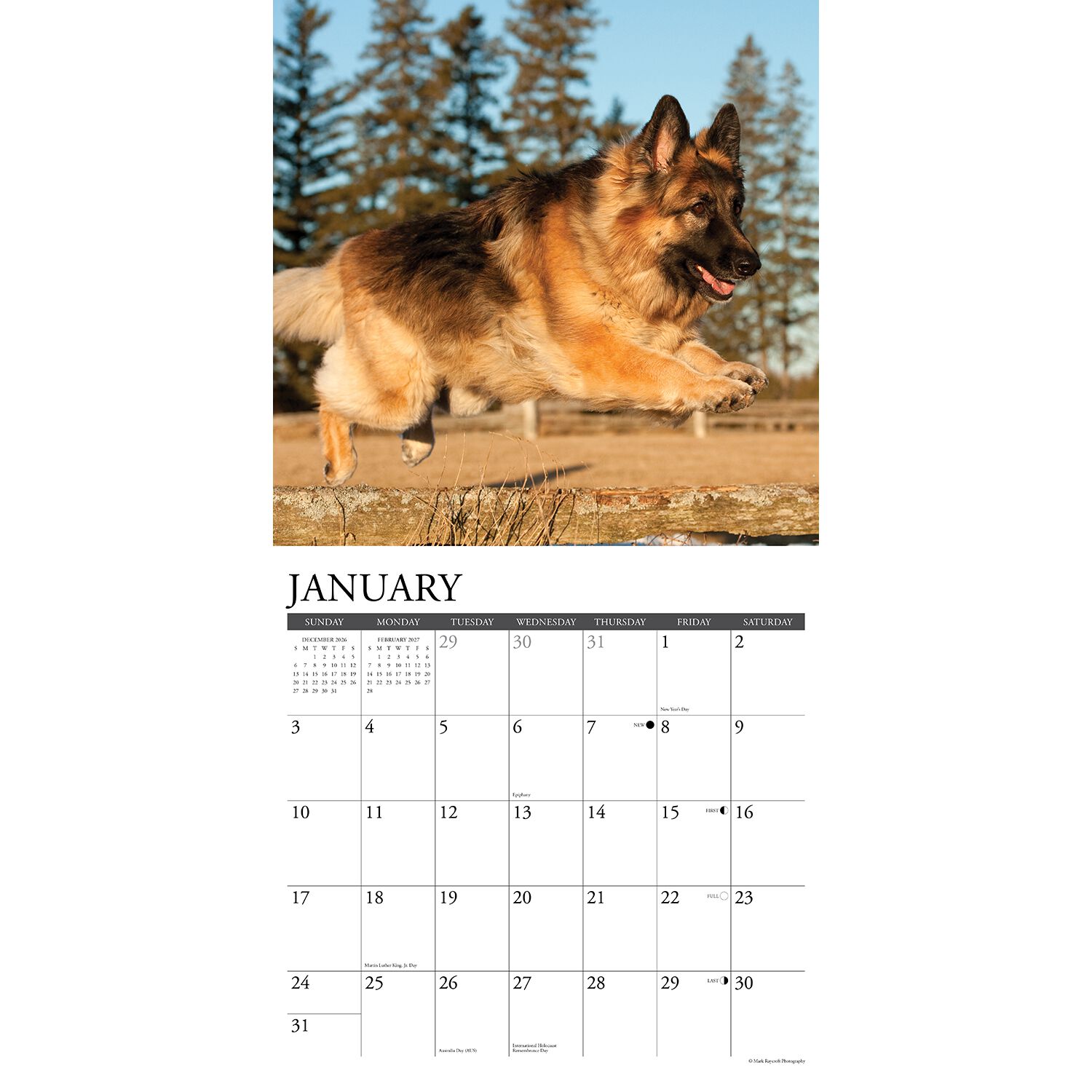 Willow Creek Press Just German Shepherds 2027 Wall Calendar