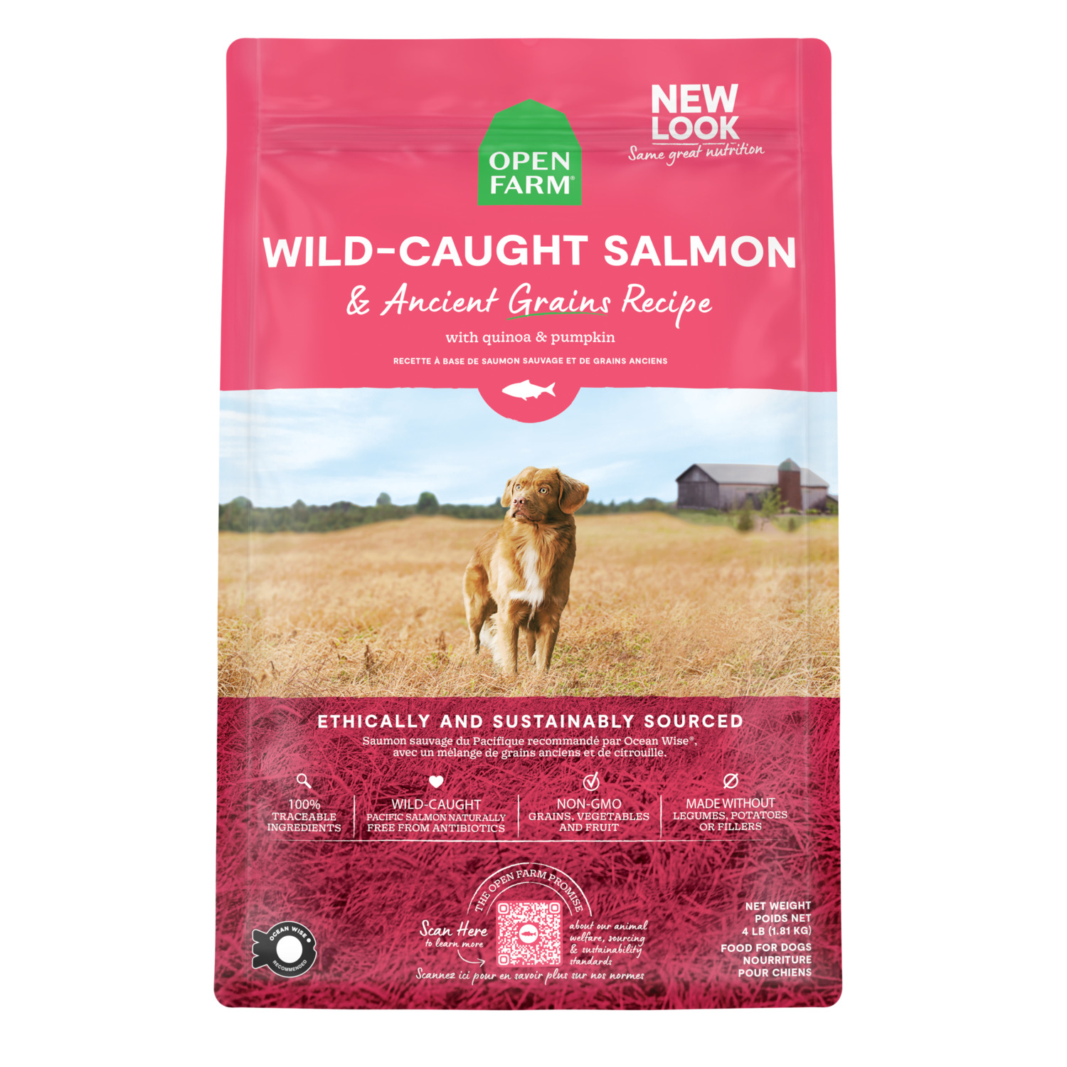 Open Farm Wild Salmon And Ancient Grains Kibble Dry Dog Food, 22Lb