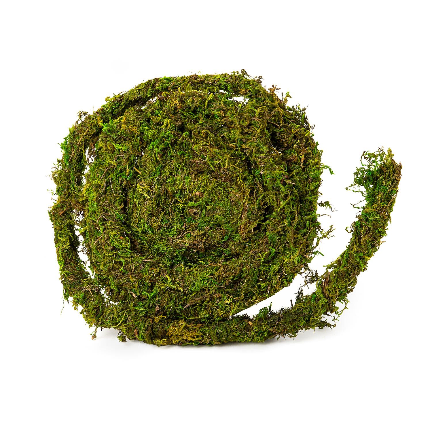 Gal&aacute;pagos Natural Moss Vine Reptile Habitat Decor, Boxed, 12-Ft
