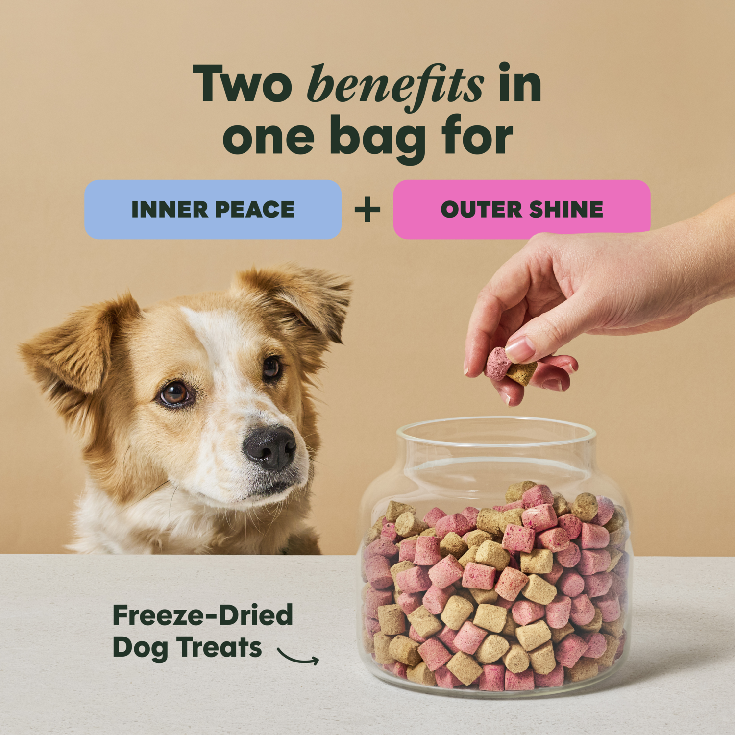 Instinct Duos Snuggle Booster 2:1 Tranquility + Skin & Coat Health  Freeze-Dried Dog Treats, 4-Oz