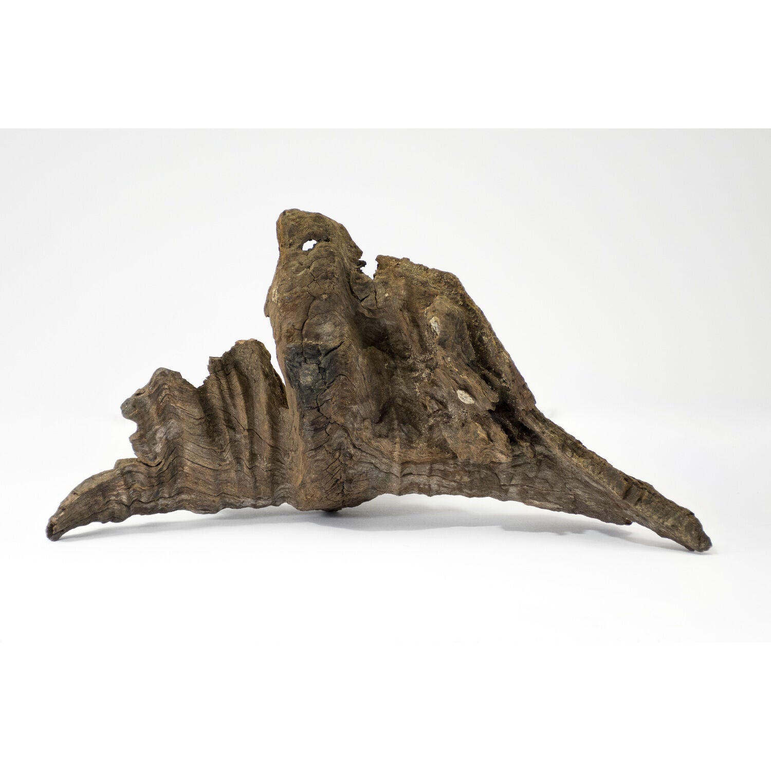 Gal&aacute;pagos Sinkable Driftwood Aquarium And Terrarium Decor, Natural, Medium 11-13"