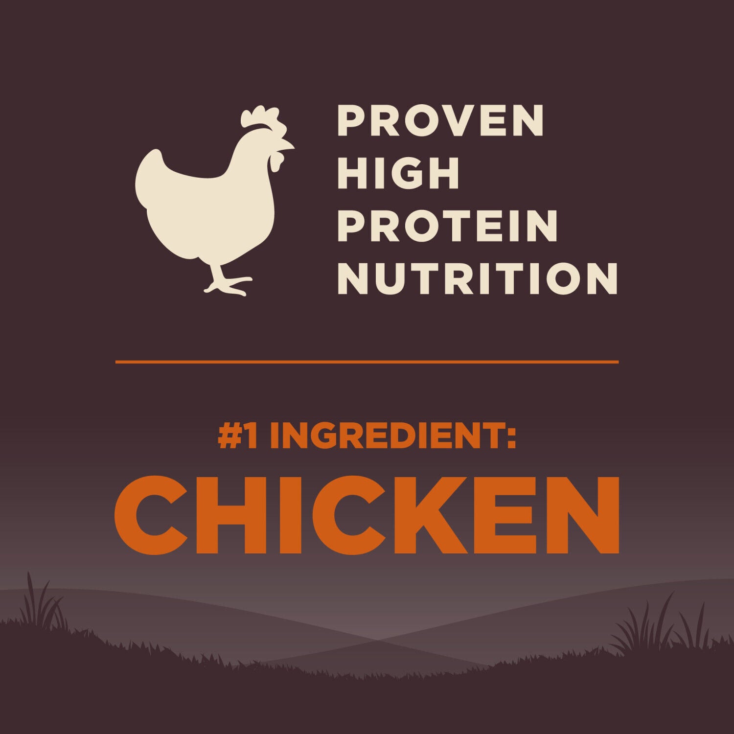 Wellness Core Natural Grain Free Dry Dog Food Large Breed Health Chicken & Turkey Recipe, 24-Pound Bag