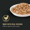 Focus Adult Healthy Metabolism Formula Chicken Entree In Gravy Cat Food thumbnail number 14