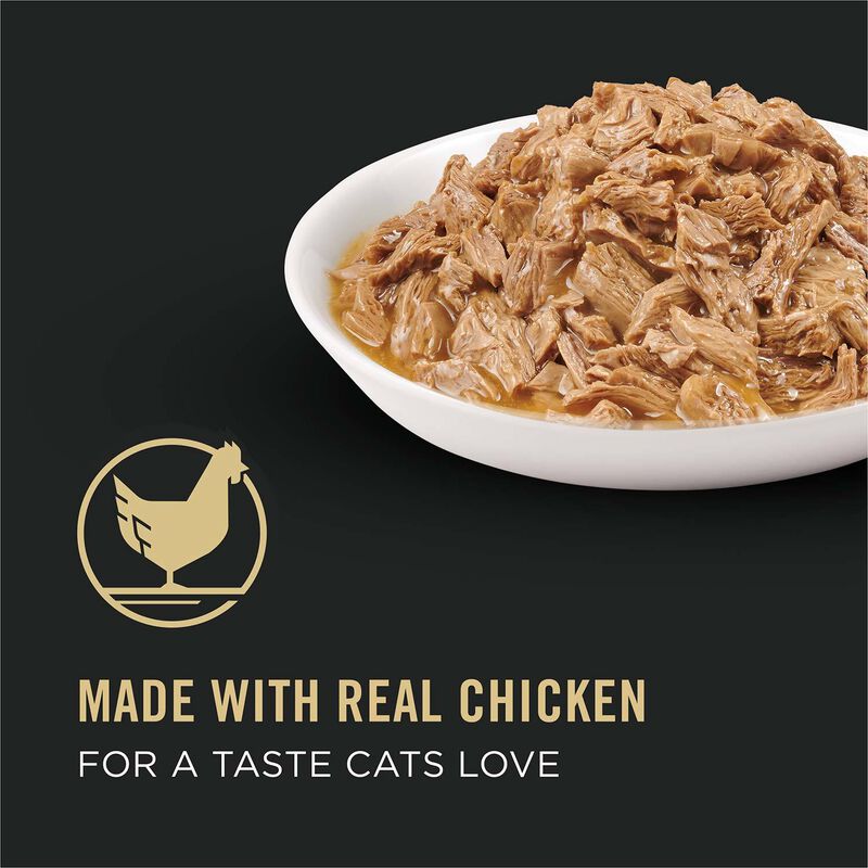 Focus Adult Healthy Metabolism Formula Chicken Entree In Gravy Cat Food image number 14