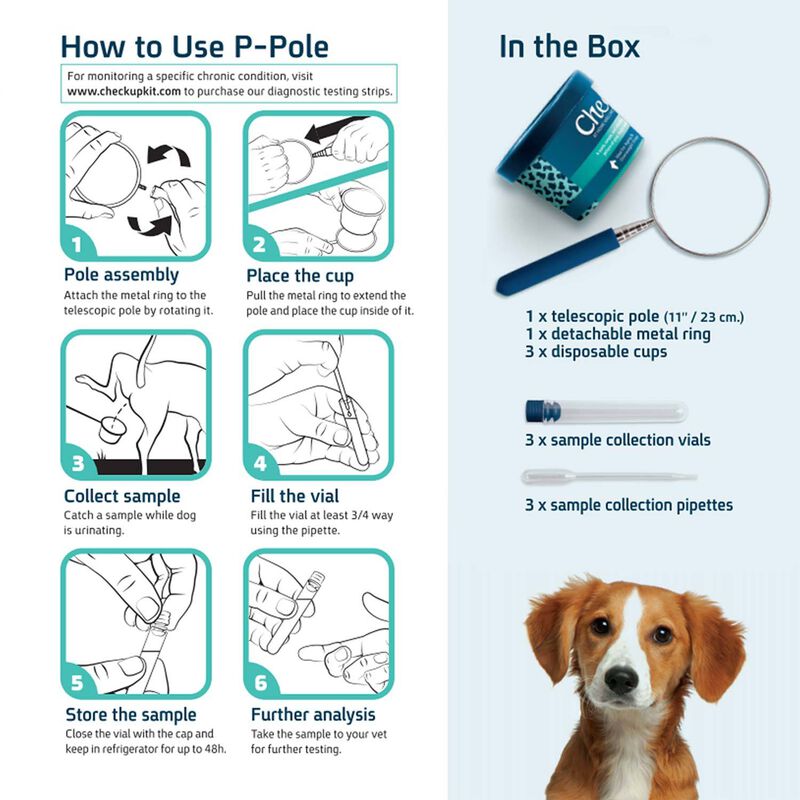 The P Pole Dog Urine Sample Collection Kit image number 3