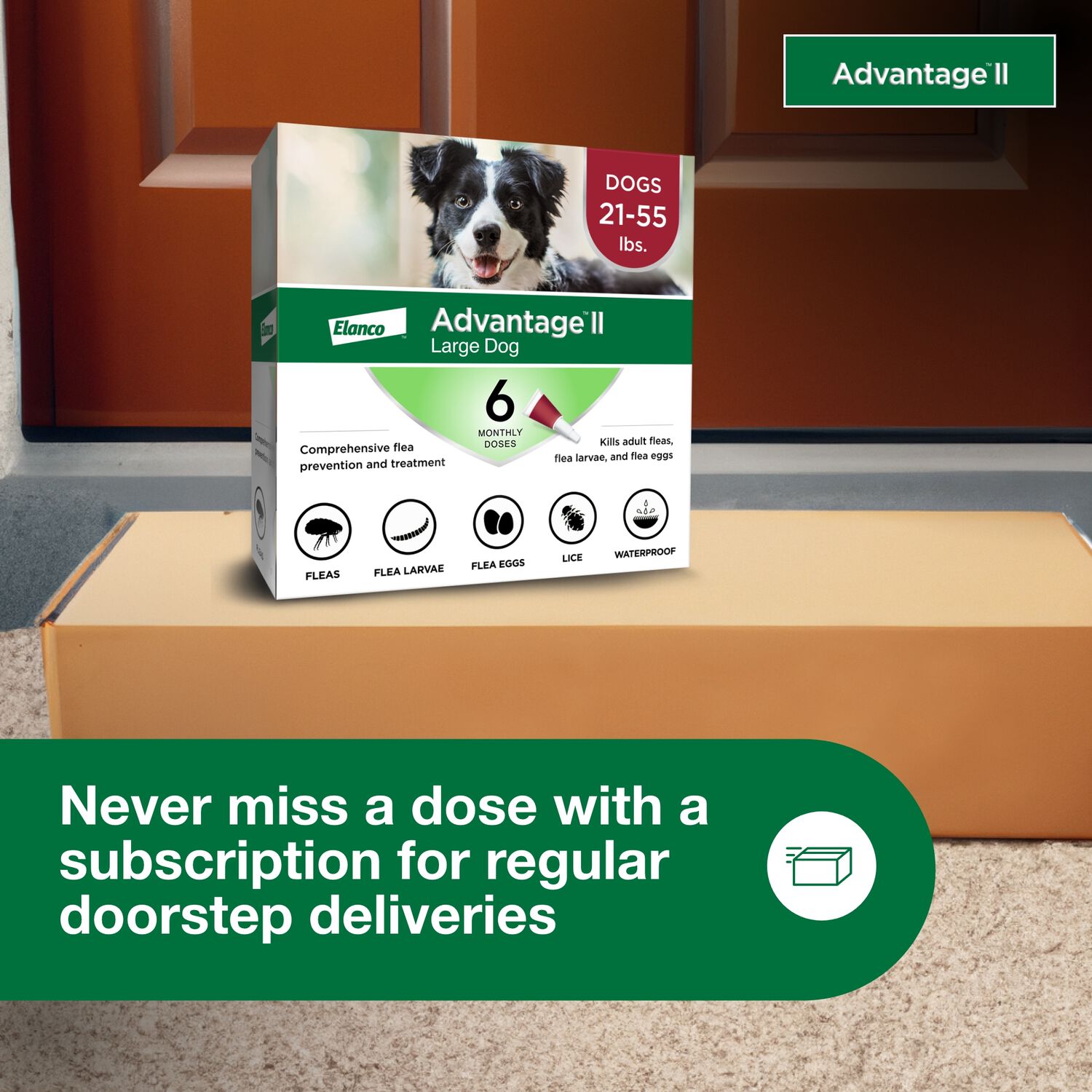 Advantage Ii Flea Treatment & Prevention For Large Dogs, 21-55-Lbs, 6 Month Supply