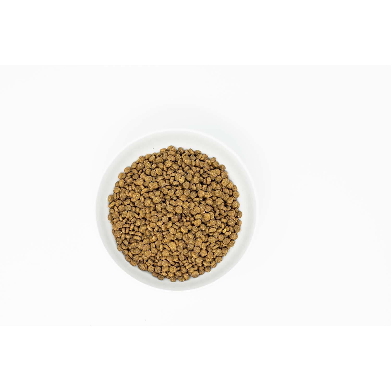 Stella & Chewy's Kibble-Raw Coated Cage Free Chicken Recipe Cat Food