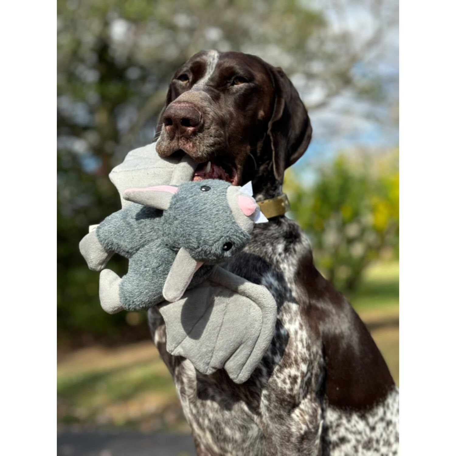 Tall Tails Bat Fling And Fetch Fetch Squeaky Plush Dog Toy, 12-Inch