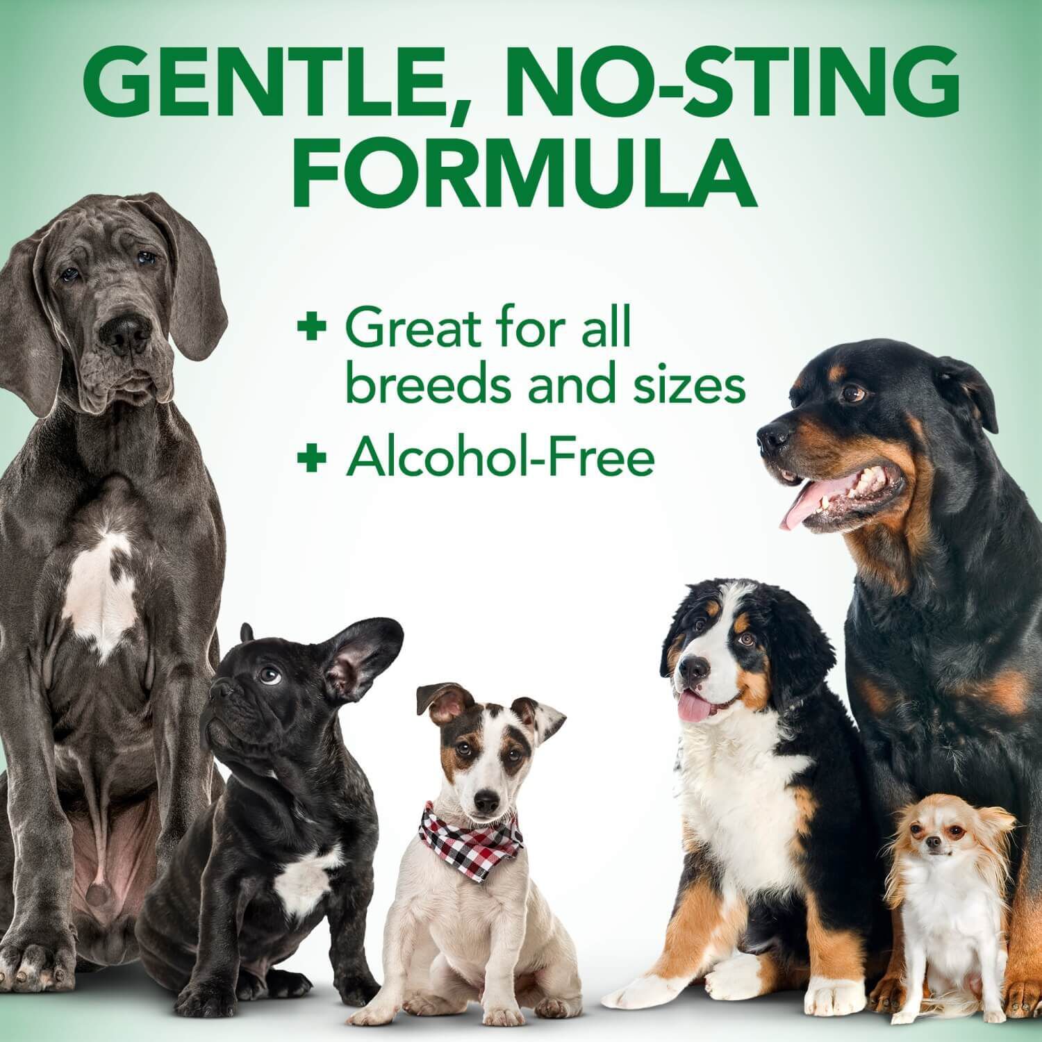 Vet's Best Dry Ear Relief For Dogs