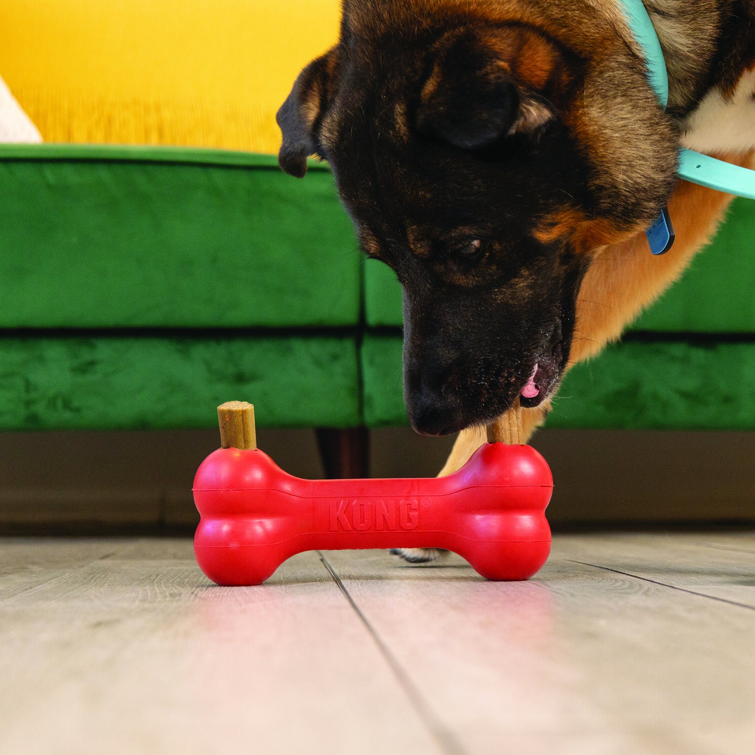 Kong Ziggies Chews Dog Treats, Small - Sea Kelp Formula