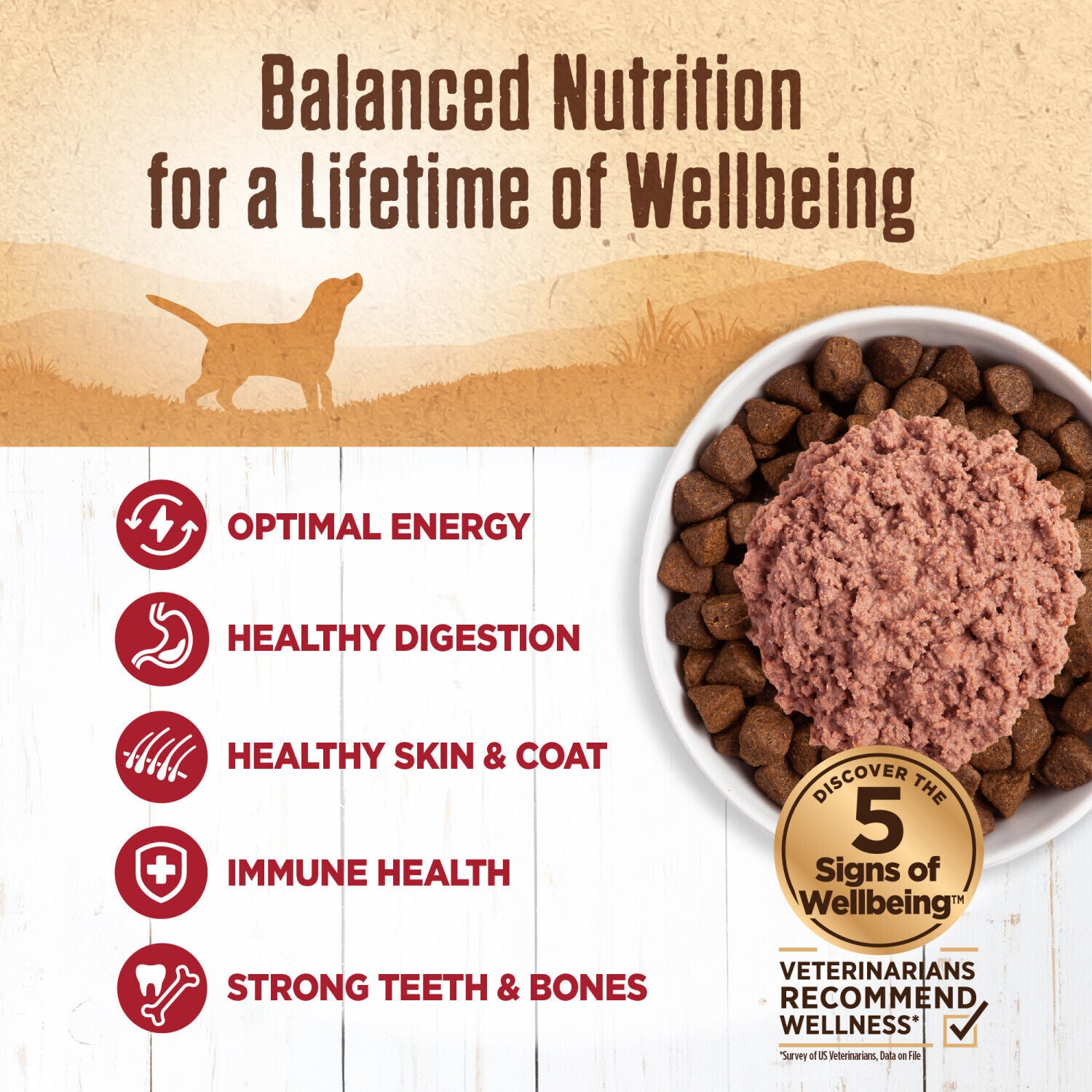 Wellness 95% Beef Natural Wet Grain Free Canned Dog Food, 13.2-Ounce Can