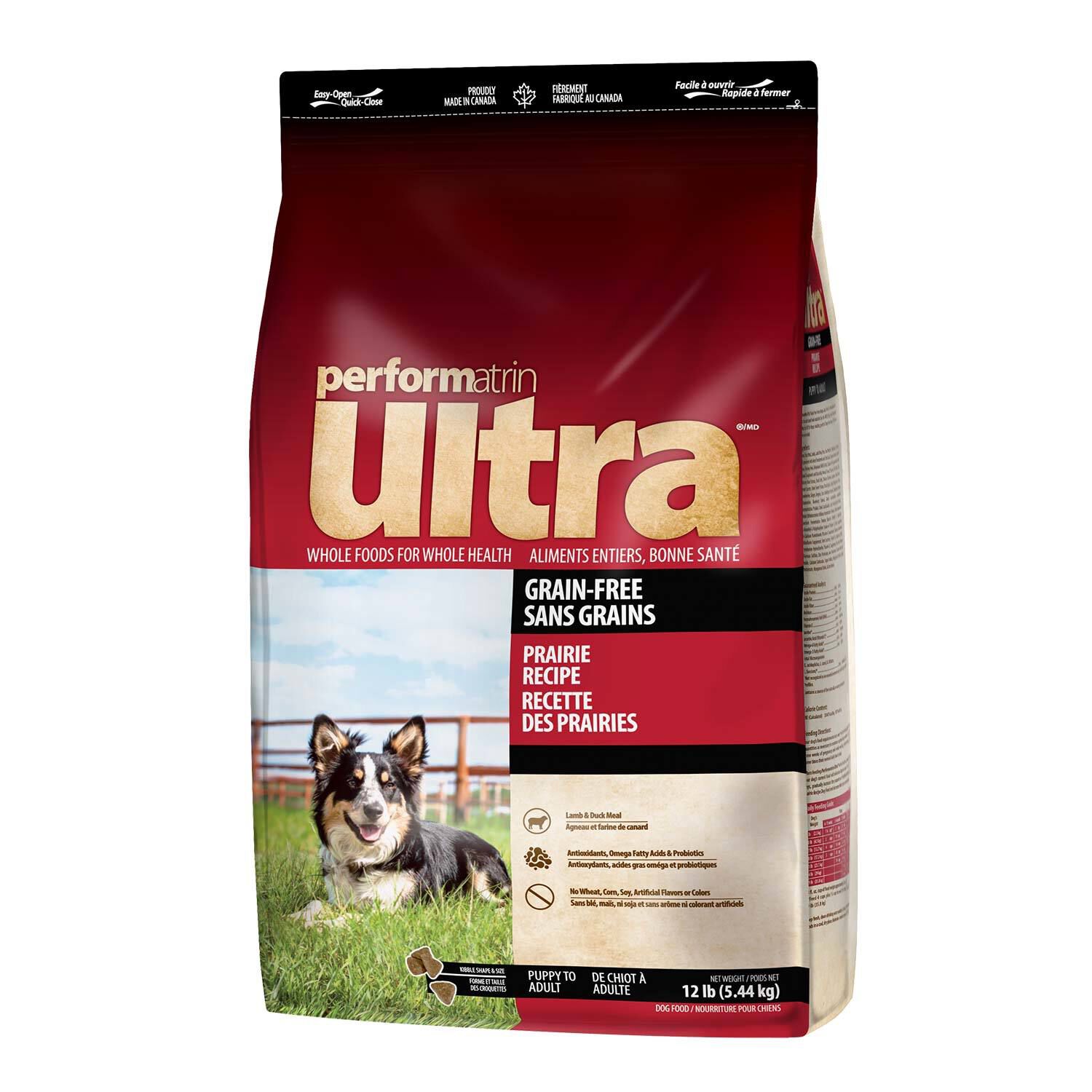 Performatrin grain shop free dog food