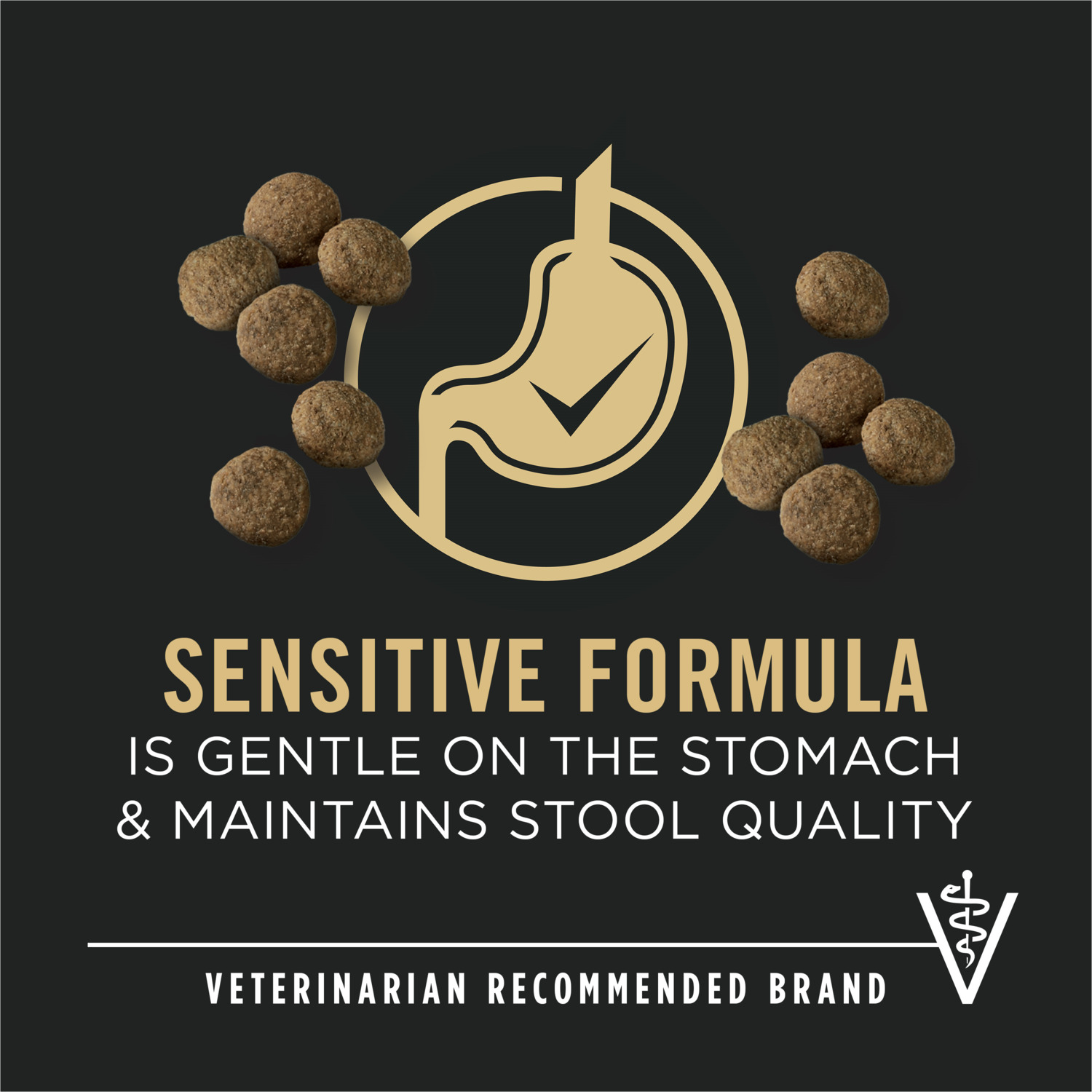 Purina Pro Plan Sensitive Skin And Stomach Large Breed Salmon And Rice Formula Dry Dog Food, 34Lb
