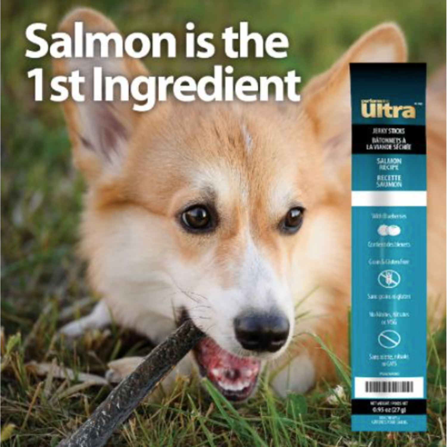 Performatrin Ultra&nbsp;Jerky Sticks Salmon Recipe Dog Treats, 1-Each