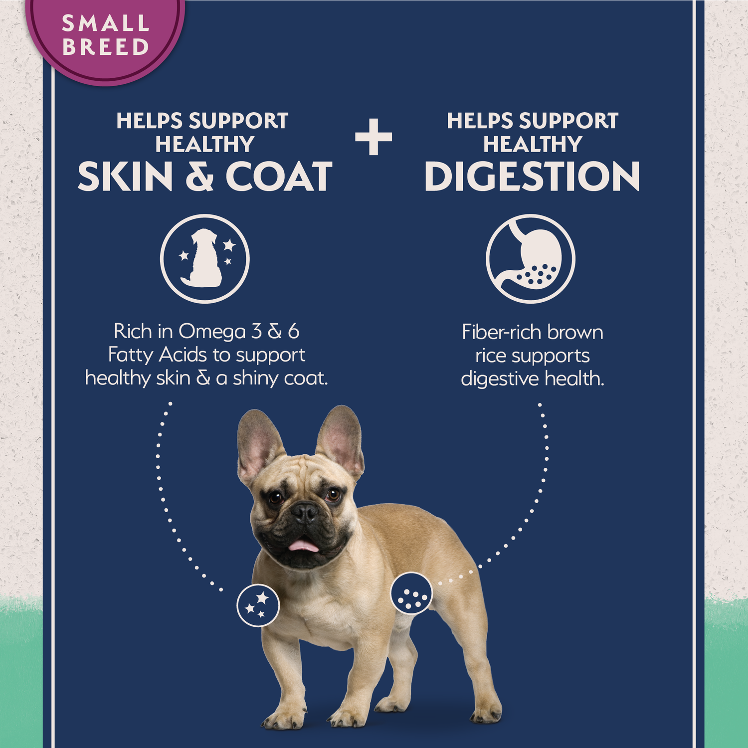 Natural Balance Limited Ingredient Grain Free Chicken & Sweet Potato Small Breed Recipe Dry Dog Food, 4-Lb