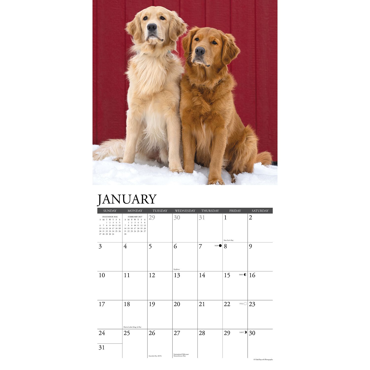 Willow Creek Press Just Goldens 2027 Wall Calendar