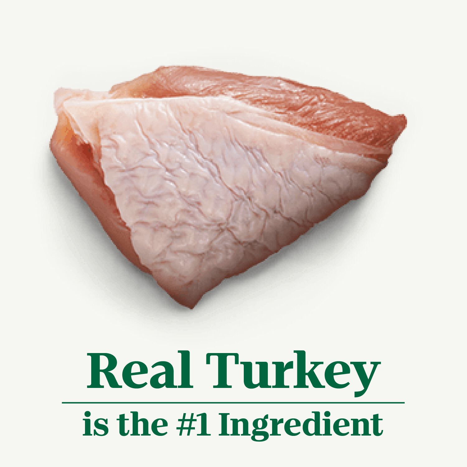 Nutro&nbsp;Hearty Stew Cuts In Gravy Roasted Turkey, Sweet Potato & Green Bean Stew Wet Dog Food, 12.5-Oz