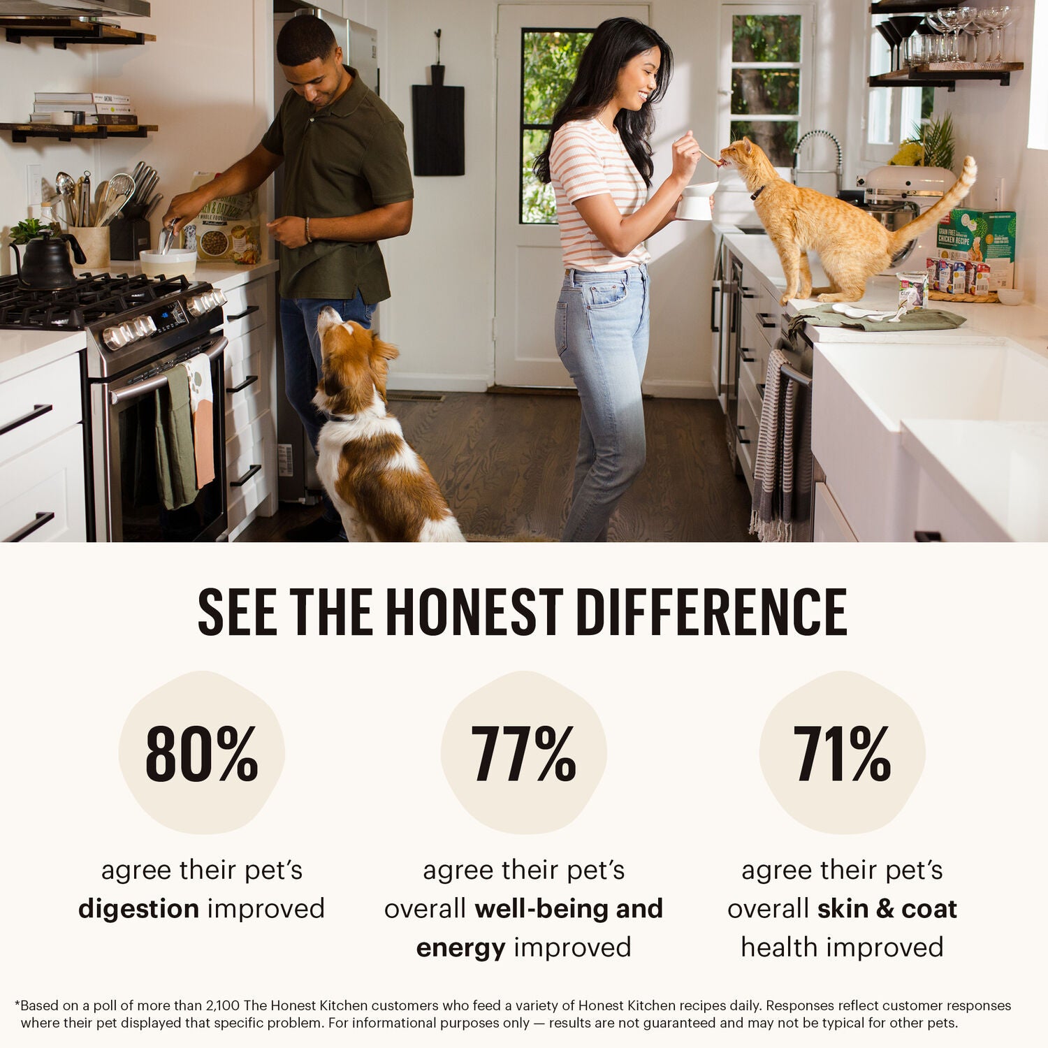 The Honest Kitchen Gourmet Whole Food Clusters Whole Grain Chicken & Superfoods Recipe Puppy Dry Dog Food, 20-Lb