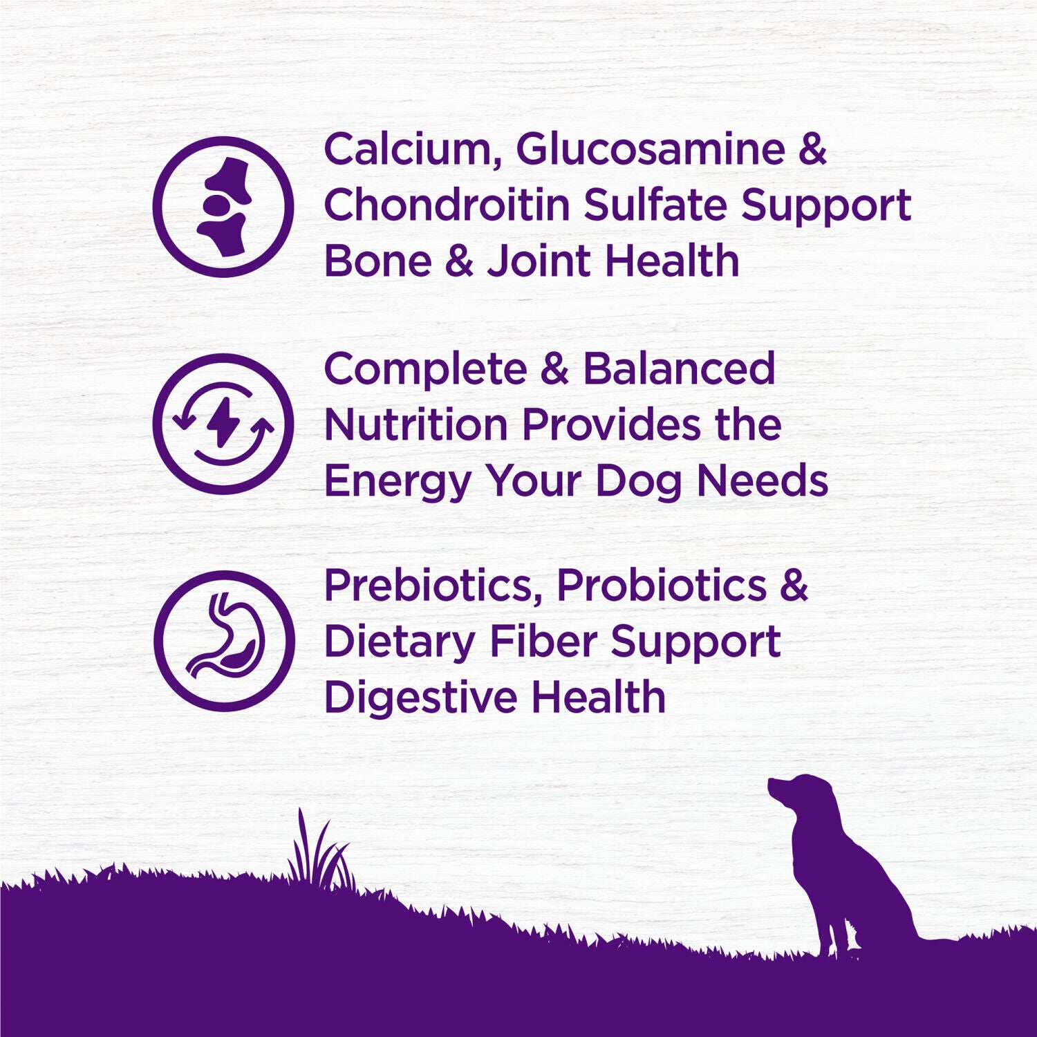 Wellness Complete Health Senior Dry Dog Food, Wholesome Grains, Natural, Age Advantage Chicken & Barley Recipe, 26-Pound Bag