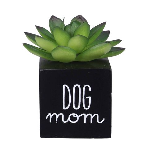 Wood Dog Mom Succulent