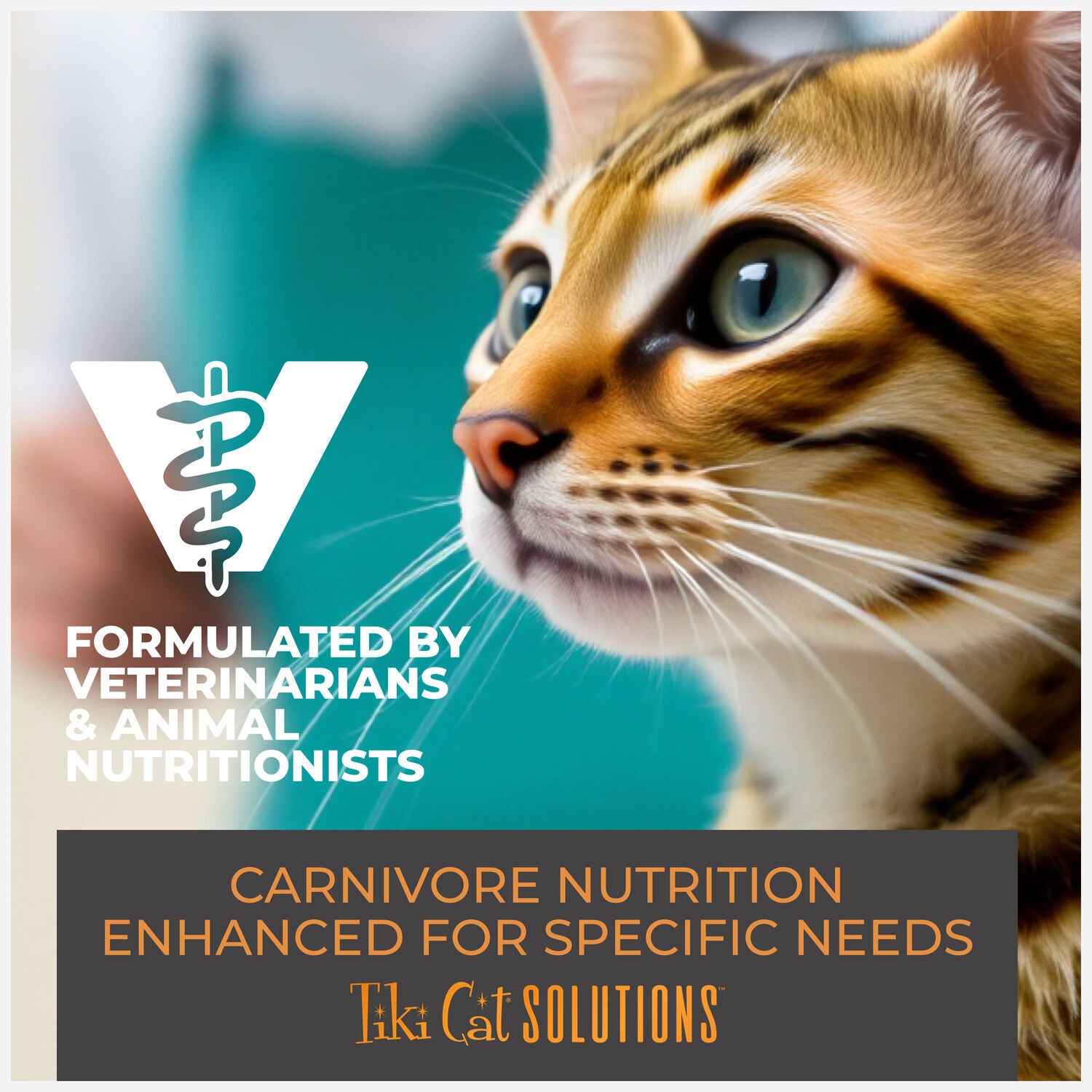 Tiki Cat Solutions Mineral Balance Mousse Wet Cat Food, Supports Urinary Health, Tuna & Salmon Recipe, 2.4-Oz Pouch