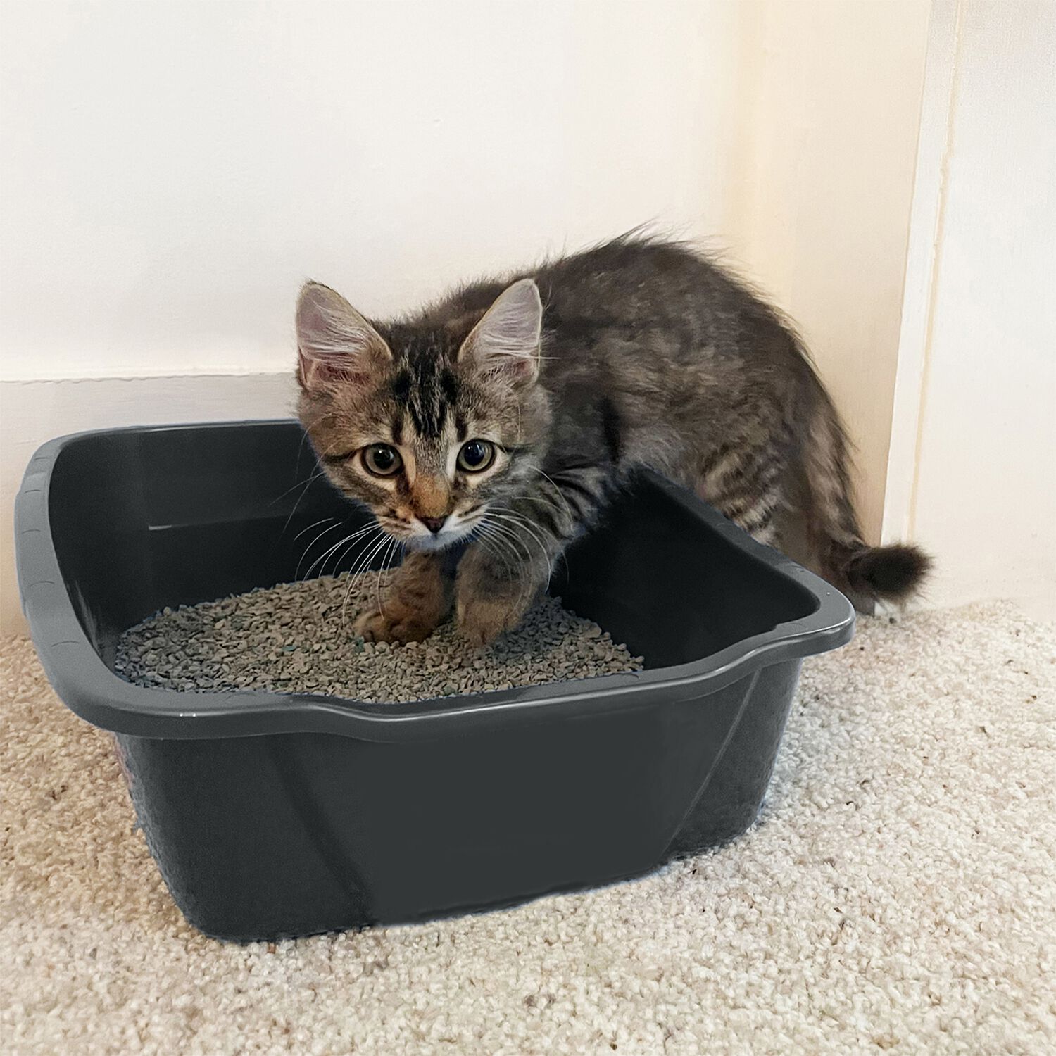 Van Ness Cat Litter Pan, Mocha Beige-Giant