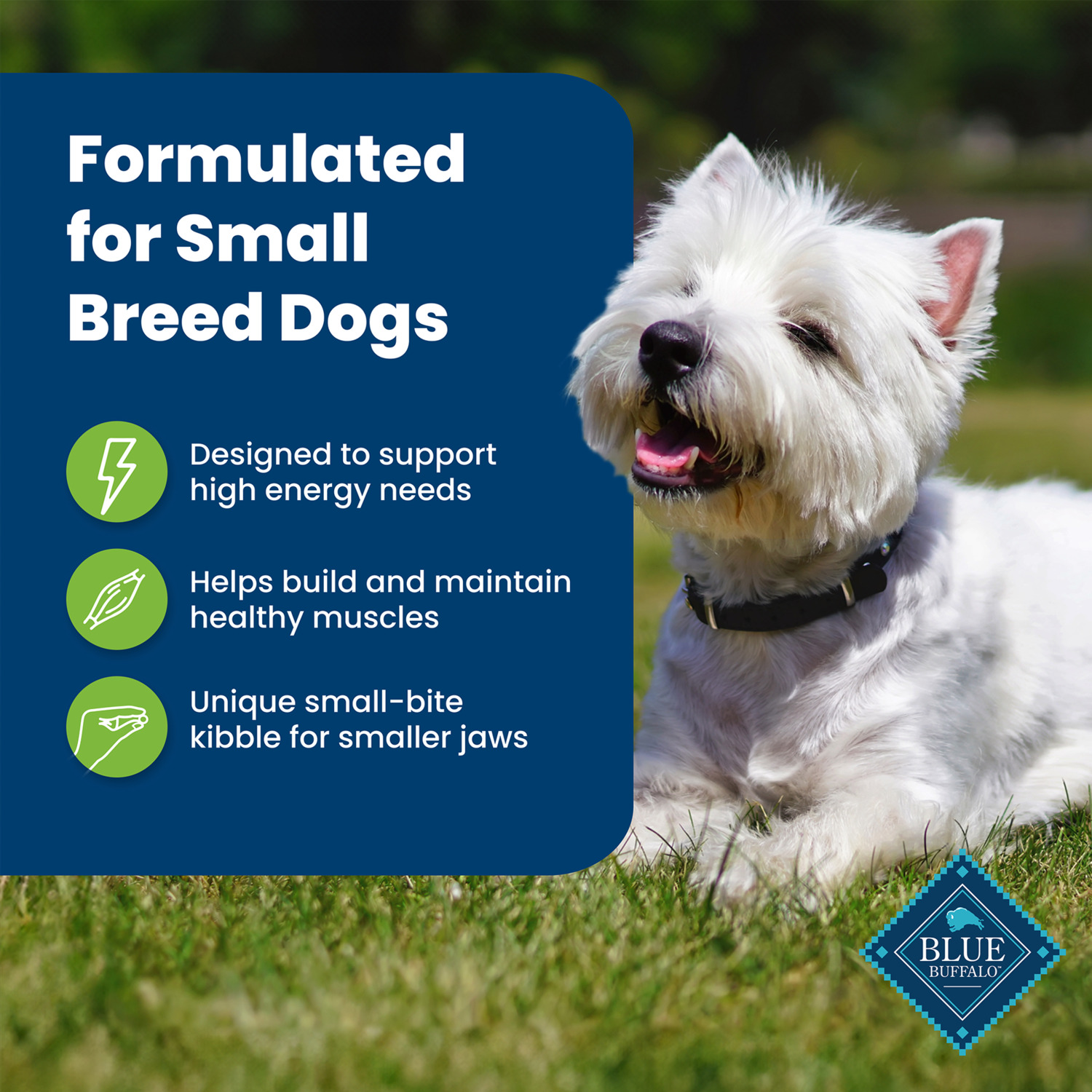 Blue Buffalo Life Protection Small Breed Adult Lamb & Brown Rice Recipe Dry Dog Food, 15 Lb