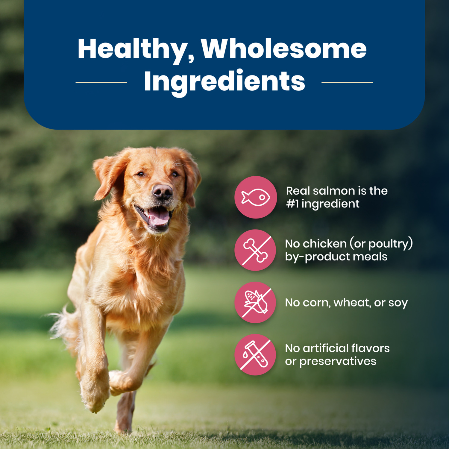 Blue Buffalo Life Protection Formula Adult Salmon & Brown Rice Recipe Dry Dog Food, 5Lb