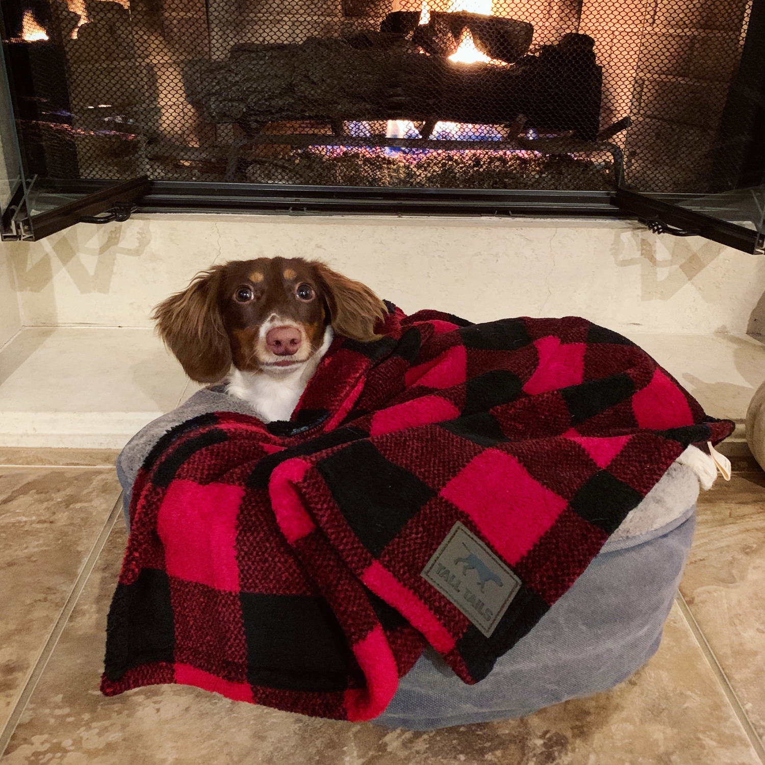 Tall Tails Hunter's Plaid Baby Soft Fleece Dog Blanket,  30"X40"