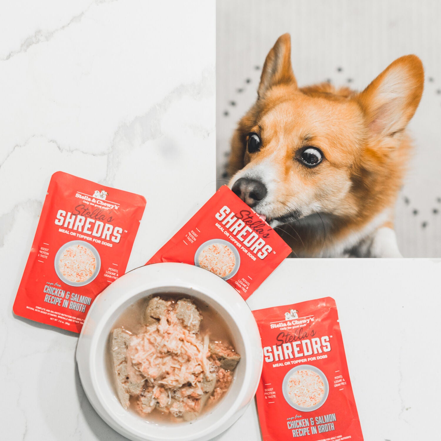 Stella & Chewy's Stella&rsquo;S Shredrs Wet Dog Food, Cage Free Chicken & Salmon Recipe In Broth, 2.8-Oz Pouch