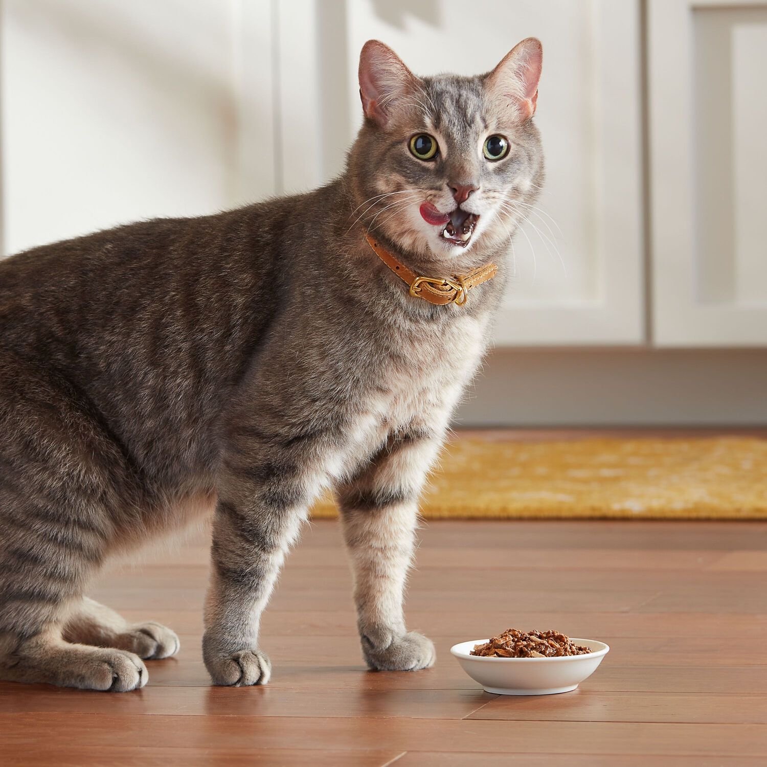 Meow Mix Tenders In Sauce Poultry And Beef Favorites Wet Cat Food Variety Pack, 12-2.75Oz Cups
