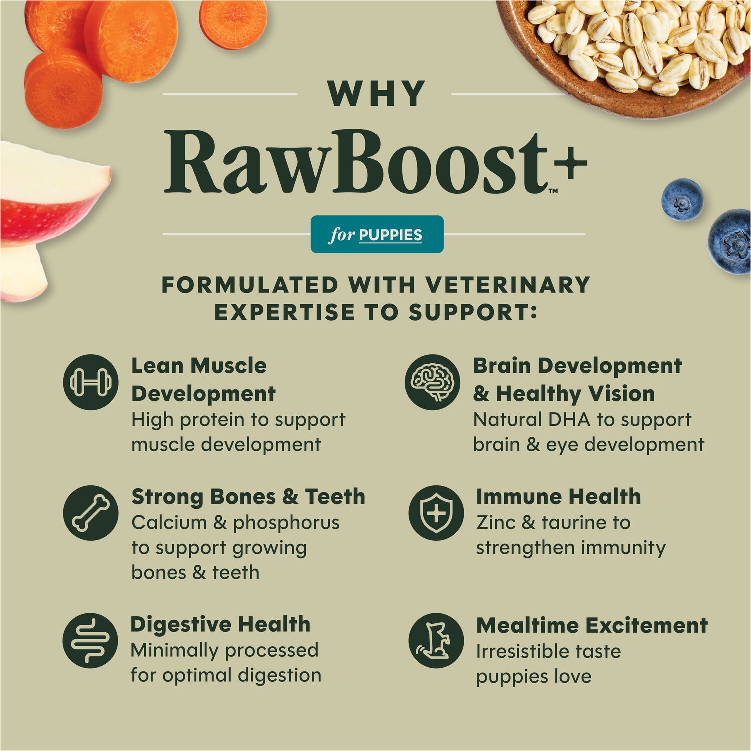 Instinct Raw Boost Puppy Dry Dog Food, Whole Grain Chicken & Brown Rice Recipe, 20-Lb Bag