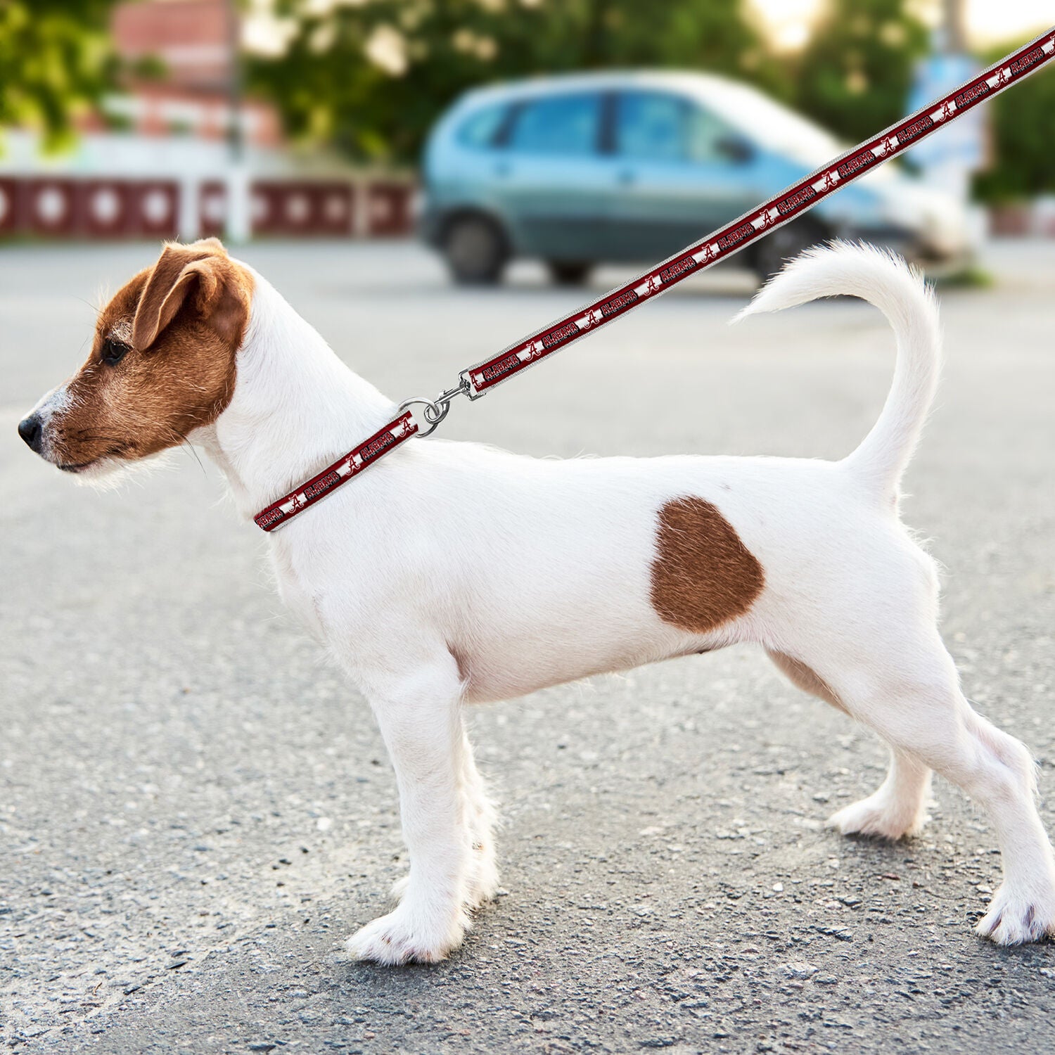 Pets First Ncaa Licensed University Of Alabama Crimson Tide Dog Leash, Large
