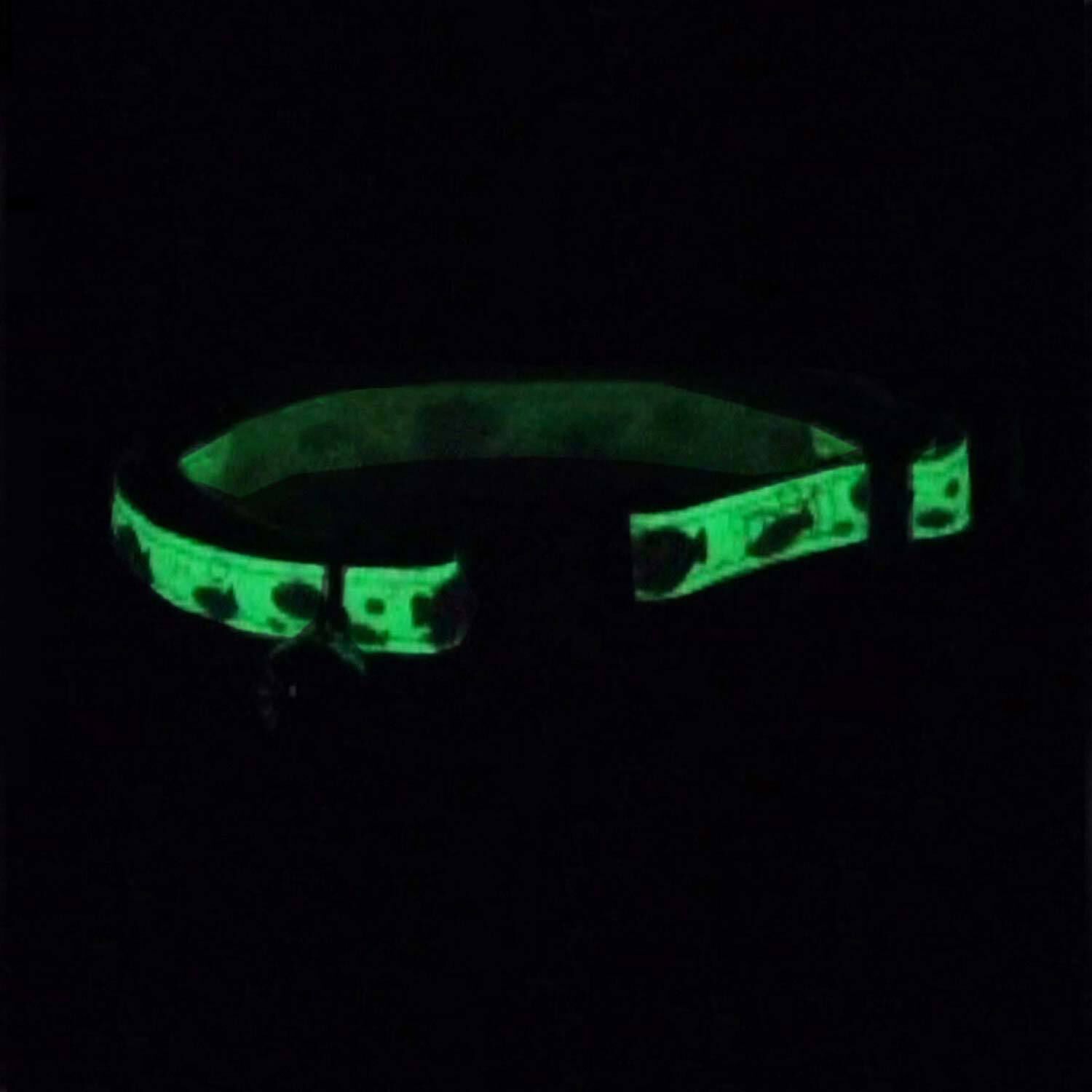 Coastal Pet Products Safe Cat Glow In The Dark Adjustable Breakaway Cat Collar, Glowing Blue Fish, 3/8" X 8"-12"