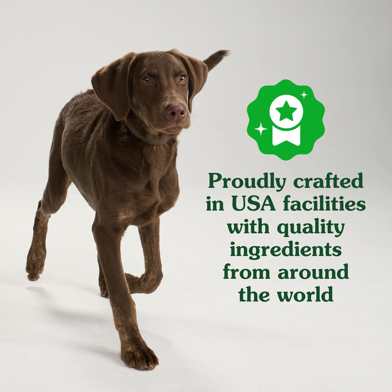 Greenies Pill Pockets Cheese Flavor Large Capsules Dog Treats, 30 Count