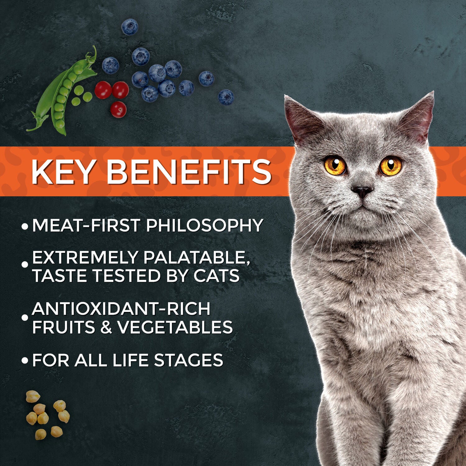 Fussie Cat Market Fresh Turkey Recipe Grain Free Dry Cat Food, 10Lb