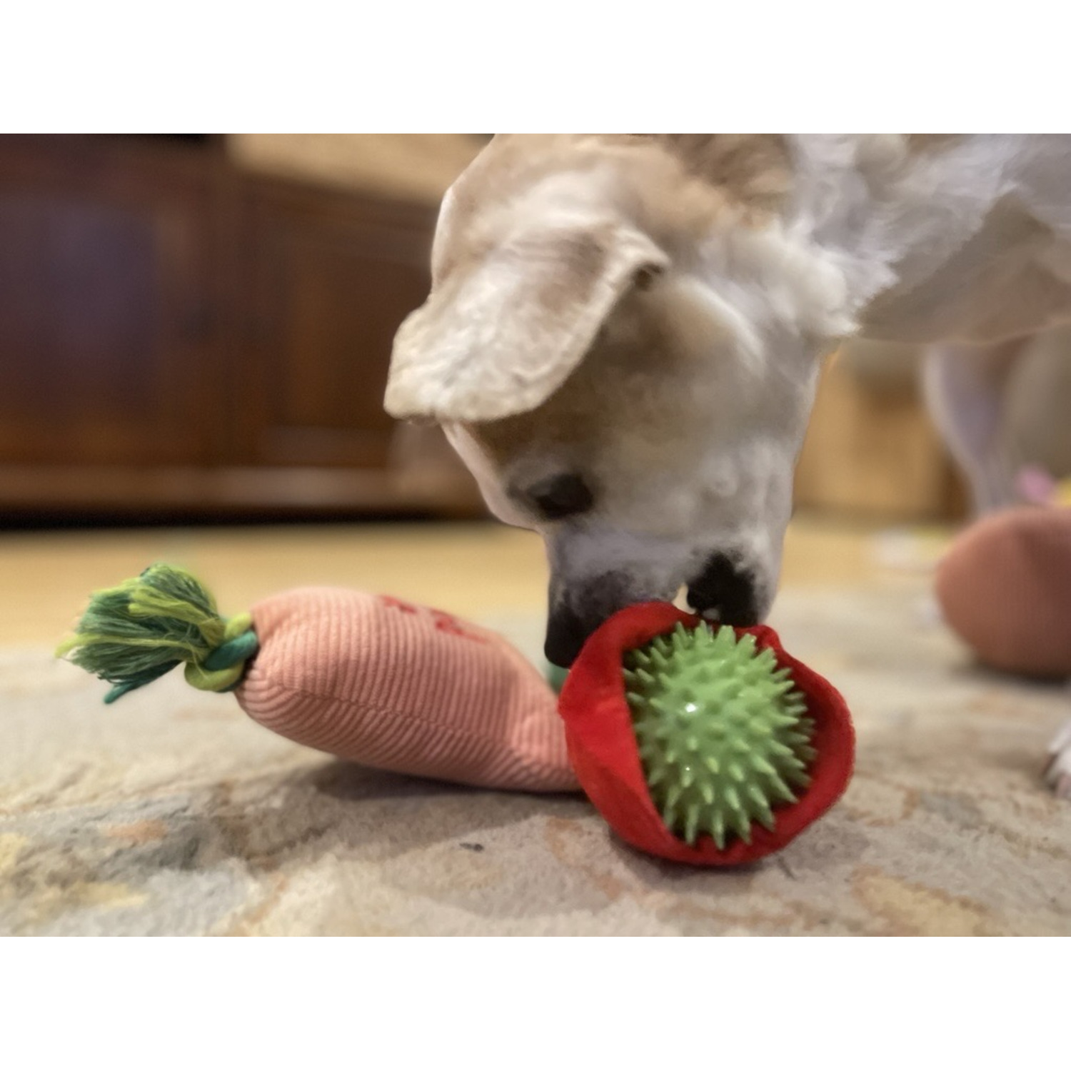 #Bff Sunny Daze Flower Surprise Interactive Fetch & Tug Dog Toy, 14"