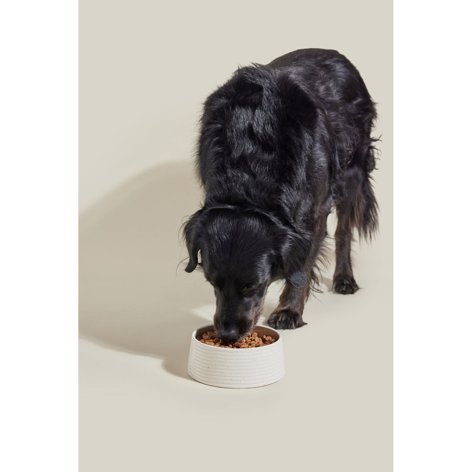 Open Farm Epic Blend Beef & Superfood Recipe Premium Nutrition Dry Dog Food With Air-Dried Morsels, 3.5Lb