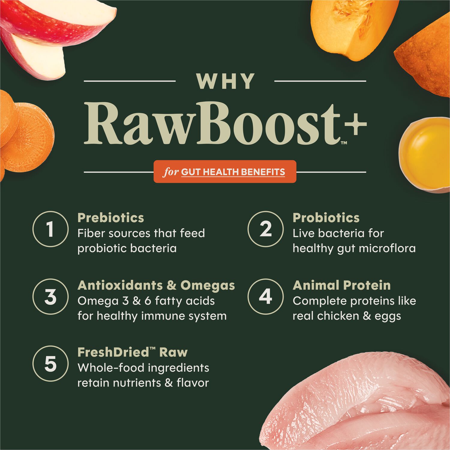 Instinct Raw Boost Gut Health Adult Dry Dog Food, Chicken, 18-Lb