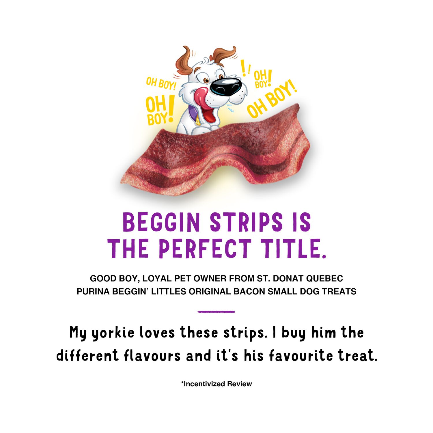 Purina Beggin&rsquo; Strips Fun Size Original Bacon Flavor Dog Treats, 25-Oz