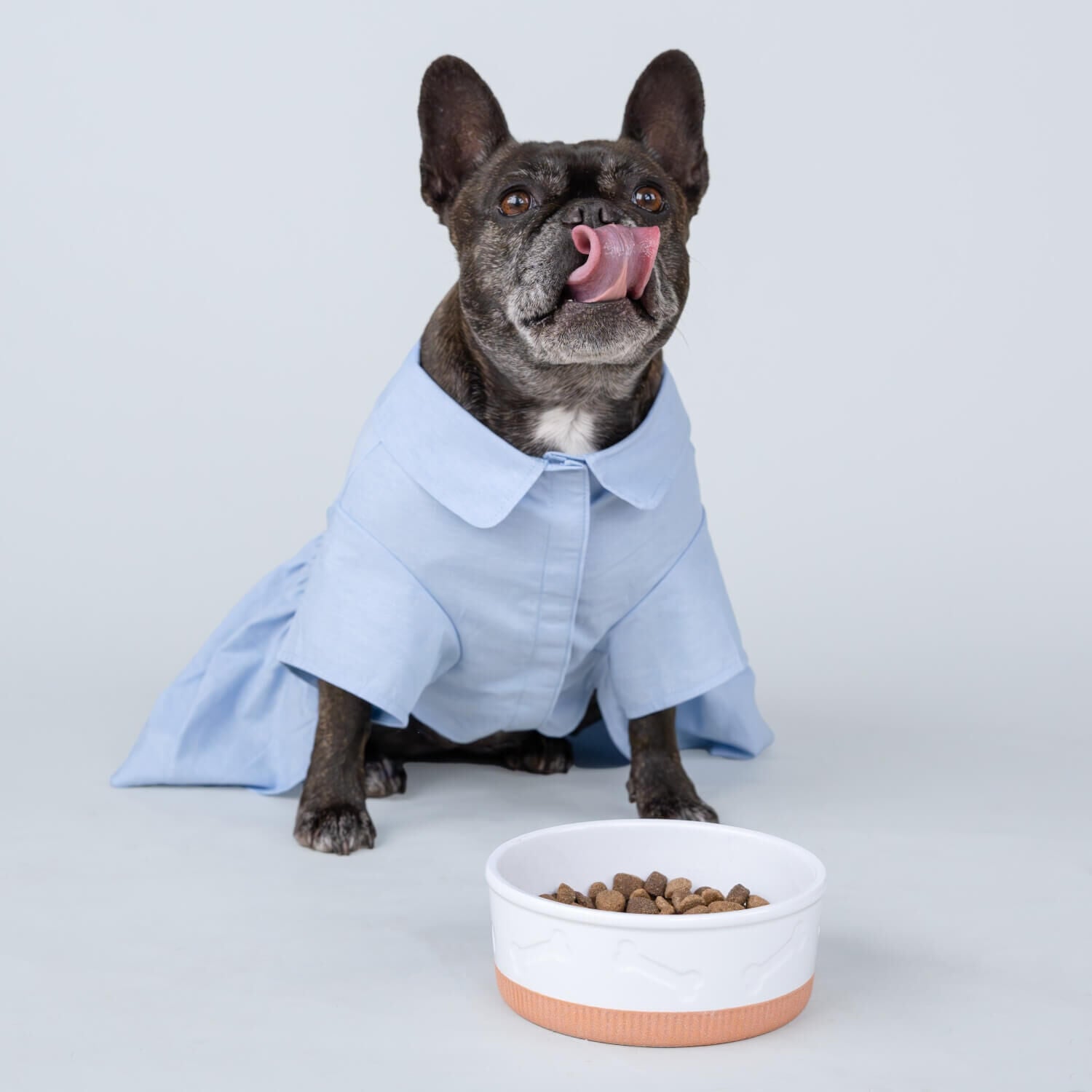 Gap White Bone Dog Bowl
